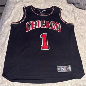 Chicago Derrick Rose small.